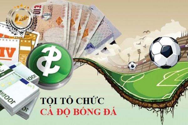 Tải zingplay apk mới nhất và trải nghiệm chơi game thú vị ngay hôm nay
